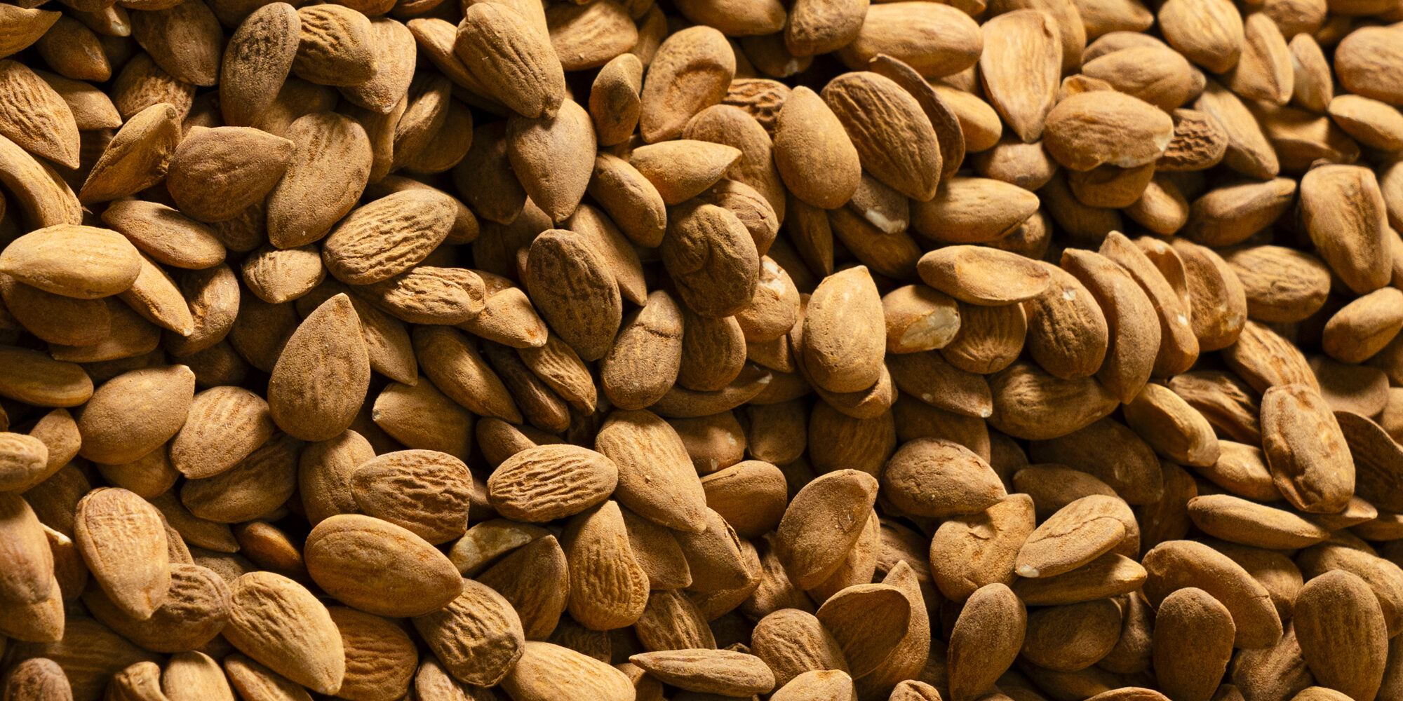 Mandorle: valori nutrizionali
